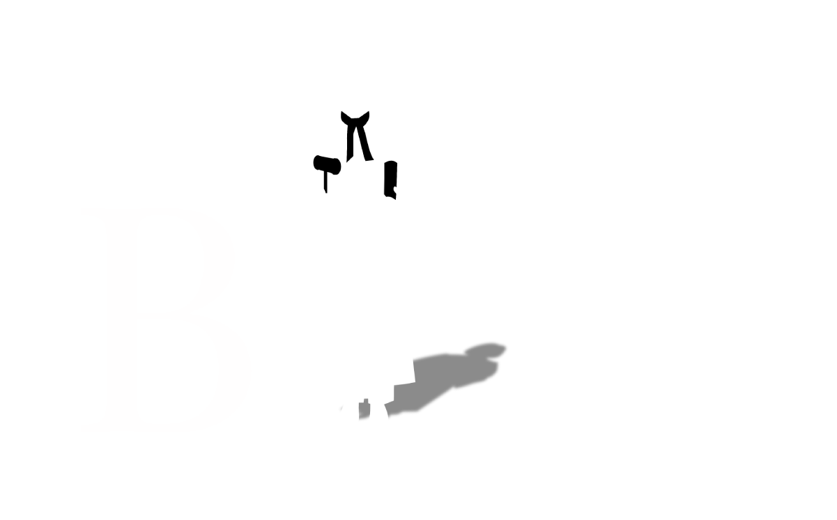 Black Lawyers Matter Logo